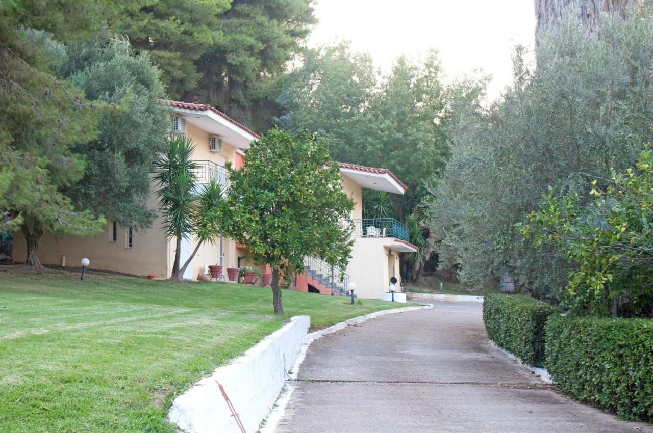Oasis Olympia Apartments Smila Extérieur photo